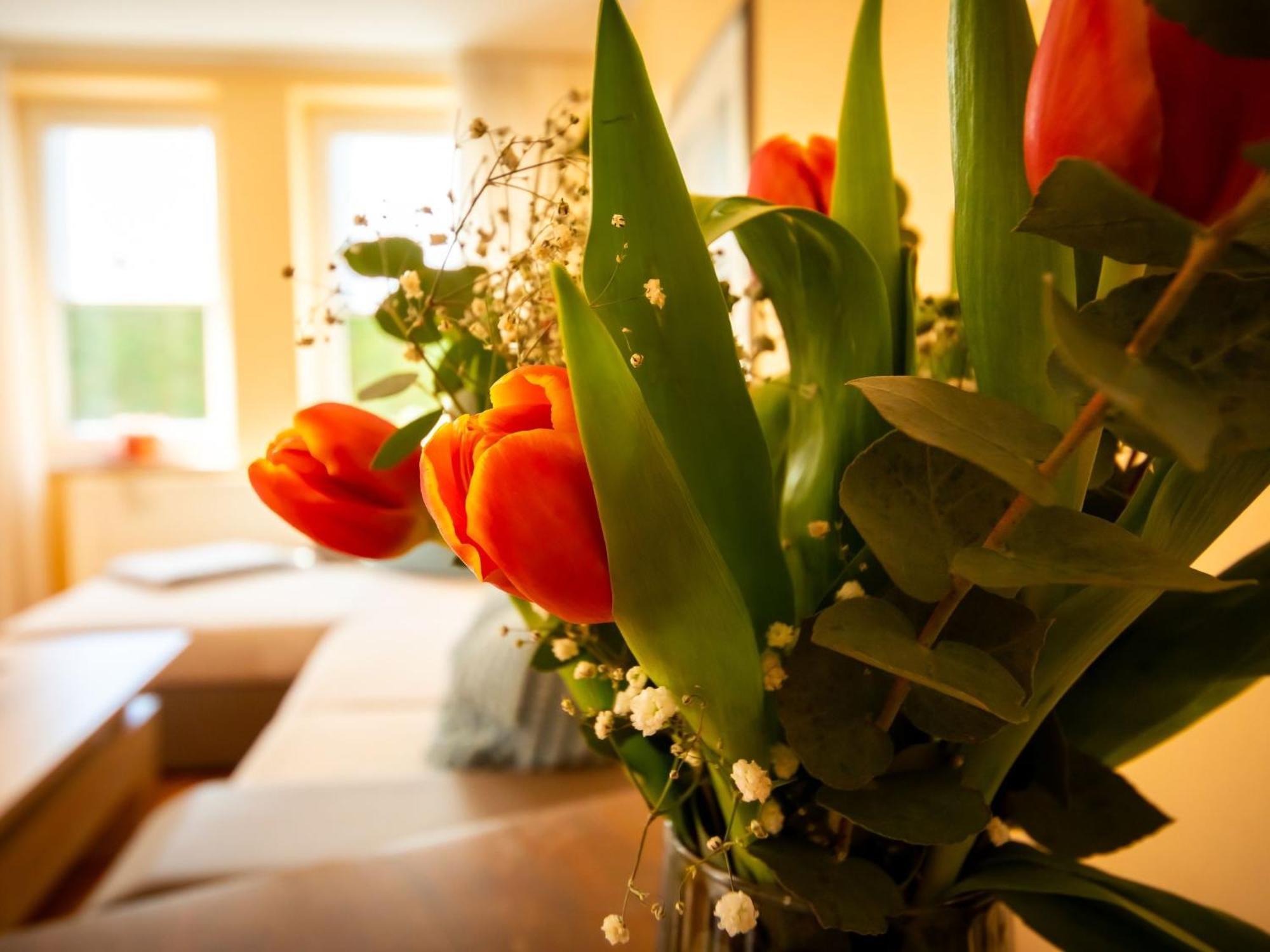 Holiday Home Mia By Interhome Lugde ภายนอก รูปภาพ